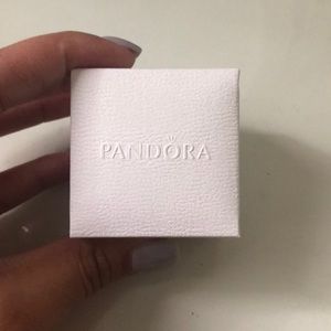 pandora charm
